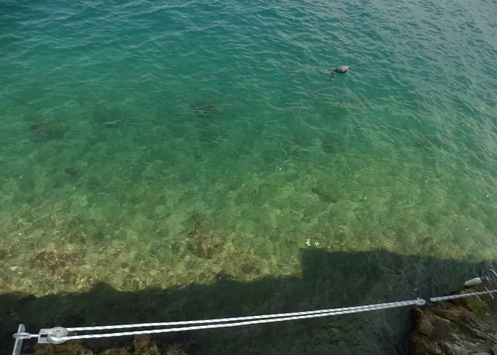 Blue Sea View Lejlighed Rovinj